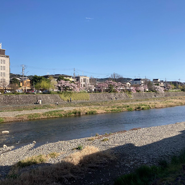 Kamo River near Gojo Bridge